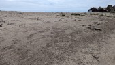 Enlarge photo 55