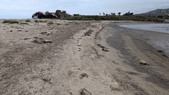 Enlarge photo 56