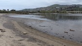 Enlarge photo 57