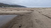 Enlarge photo 59
