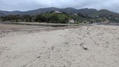 Enlarge photo 61