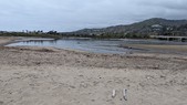 Enlarge photo 63