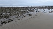 Enlarge photo 67