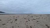 Enlarge photo 73