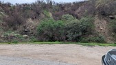 Enlarge photo 66