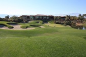 Desert Willow