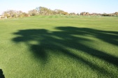 Enlarge photo 48