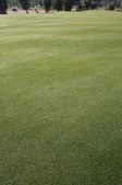 Enlarge photo 39