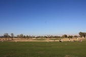 Enlarge photo 56