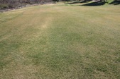 Enlarge photo 37