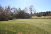 Enlarge photo 43