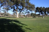 golf courses