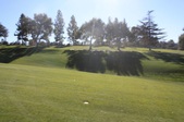Enlarge photo 37