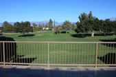 Enlarge photo 71