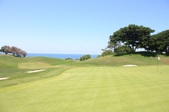 golfgreen