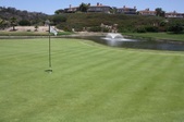 Enlarge photo 37