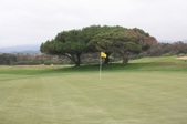 Enlarge photo 38