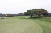 Enlarge photo 42