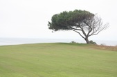 Enlarge photo 44