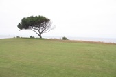 Enlarge photo 46