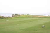Enlarge photo 52
