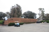 Enlarge photo 92