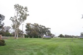 Enlarge photo 93