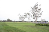 Enlarge photo 94