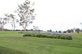 Enlarge photo 95