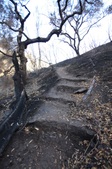 Enlarge photo 37