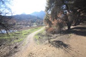 Enlarge photo 29