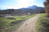 Enlarge photo 30