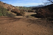 Enlarge photo 34