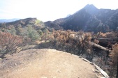Enlarge photo 36