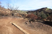 Enlarge photo 37