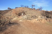Enlarge photo 38