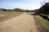 Enlarge photo 48