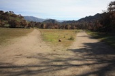 Enlarge photo 49