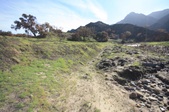 Enlarge photo 53