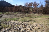Enlarge photo 55