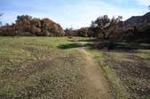 Enlarge photo 56