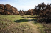 Enlarge photo 57