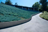 Enlarge photo 48