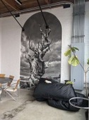 Enlarge photo 50