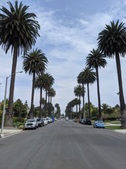 Streets Santa Monica