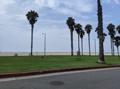 Enlarge photo 49