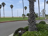 Enlarge photo 56