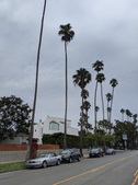Enlarge photo 36