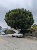 Enlarge photo 43