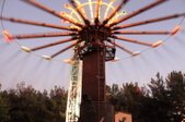 Enlarge photo 42